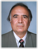 M. Reza Tirgan